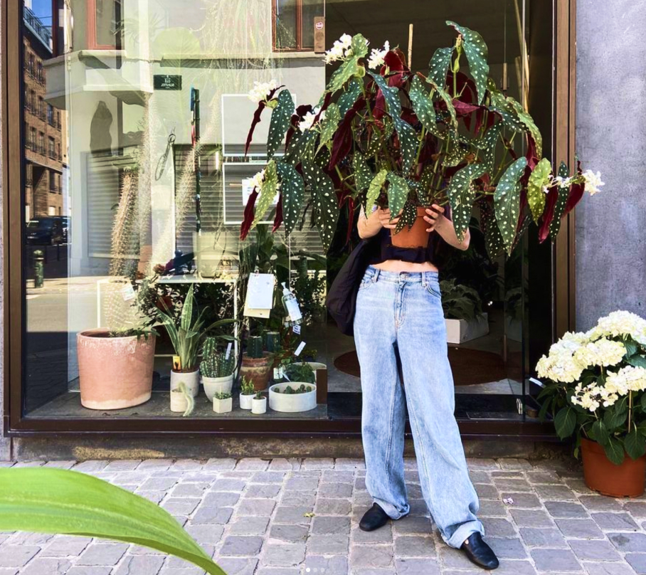 Rocco Pantalòn - Plant