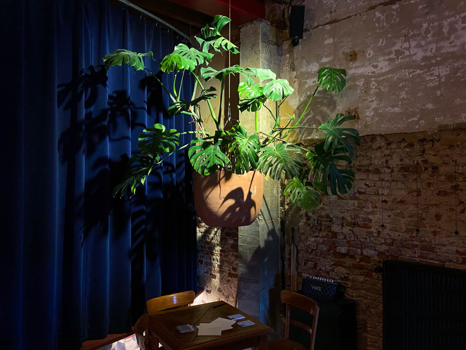 Rocco Pantalòn - Flyingmonstera