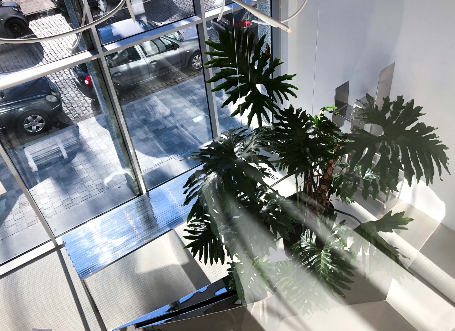 Rocco Pantalòn - Mad-3