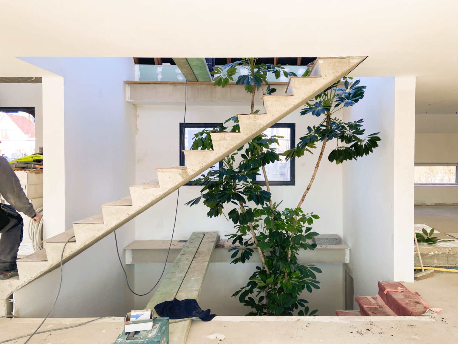 Rocco Pantalòn - Treehouse-2