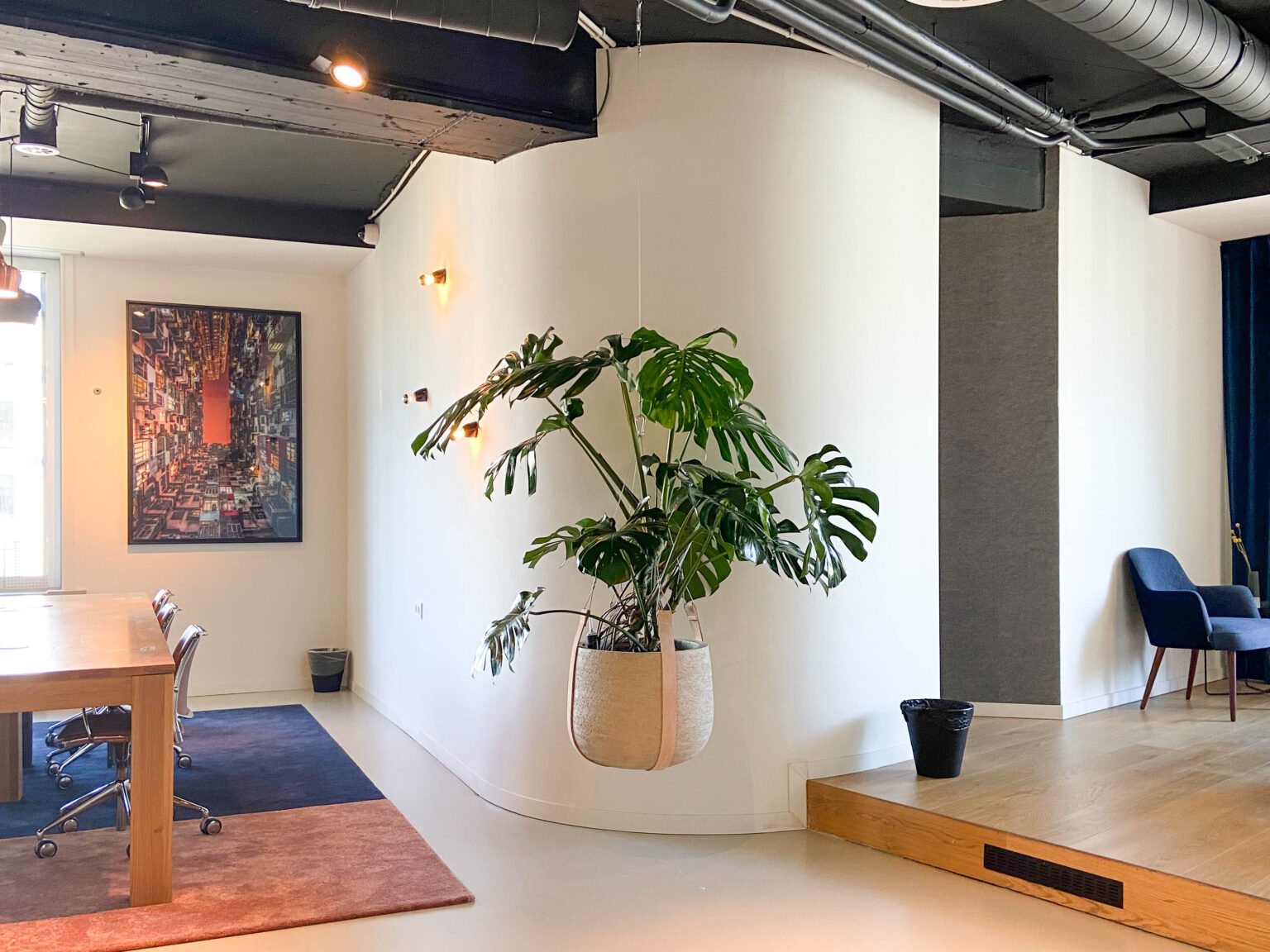 Rocco Pantalòn - Graz_monstera